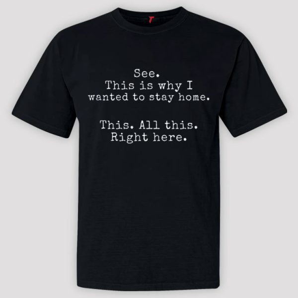 See This Is Why I Wanted To Stay Home This All This Right Here Shirt