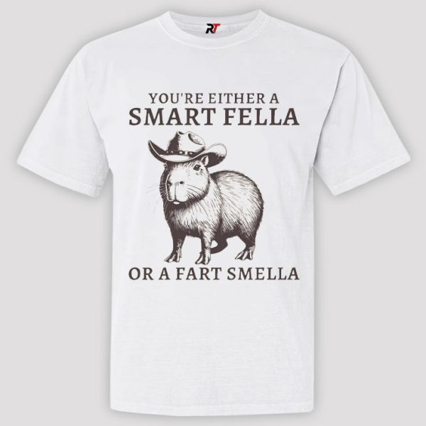 Smart Fella Or A Fart Smella Shirt