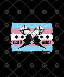 Aew CM Punk Best In The World Trans Pride Watermark