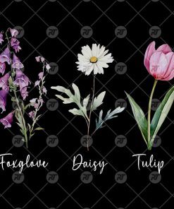 Foxglove Daisy Tulip Fdt Watermark