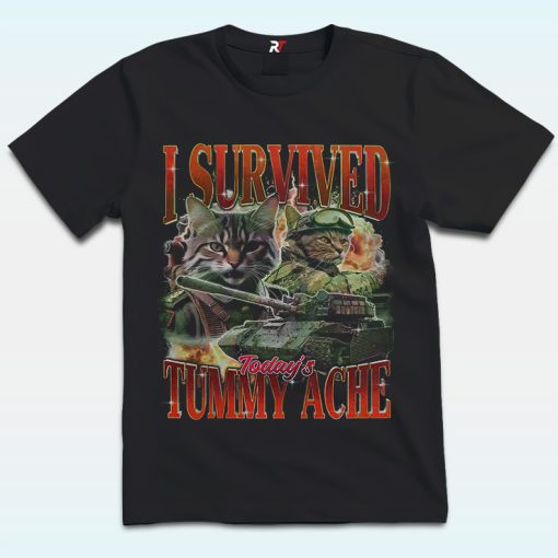 I Survived Today's Tummy Ache Shirt, Cat Meme