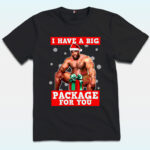 I Have A Big Package For You Shirt, Barry Sitting InappropriateLY