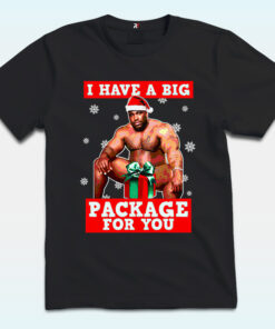 I Have A Big Package For You Shirt, Barry Sitting Inappropriate