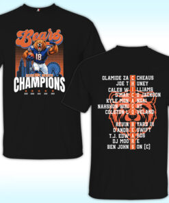 Chicago Bears 2025 NFC North Division Champions T Shirt