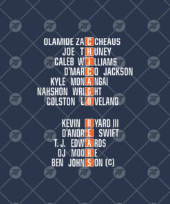 Chicago Bears 2025 NFC North Division Champions Watermark