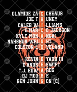 Chicago Bears 2025 NFC North Division Champions Watermark