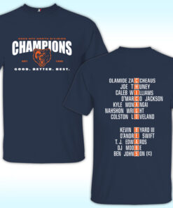 Chicago Bears 2025 NFC North Division Champions Shirt