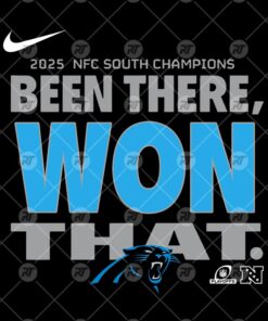 2025 NFC South Division Champions Been There Won That Watermark